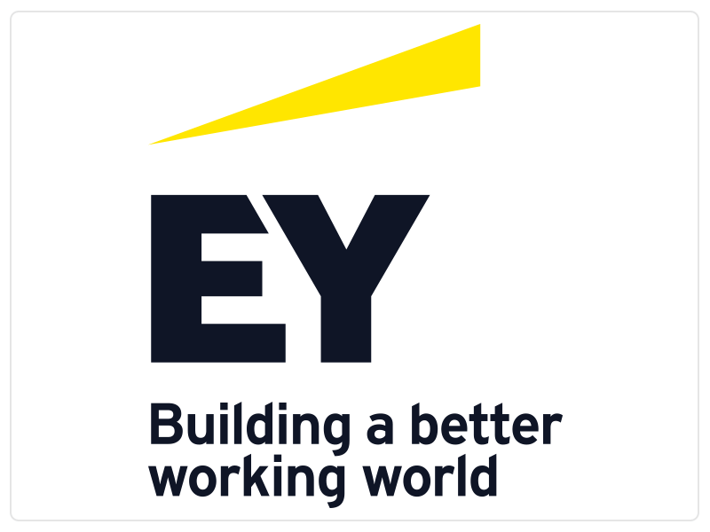 EY (Assurance, Tax, Transactions and Advisory Services)